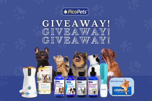 picopets-giveaway-launch-prize-winner